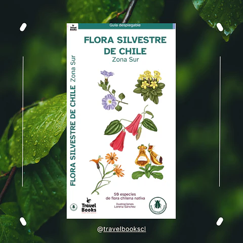 Travel Books - Flora silvestre de Chile zona Sur 