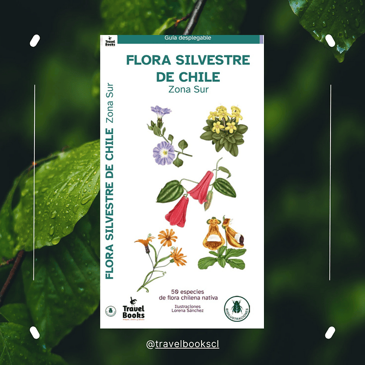 Travel Books - Flora silvestre de Chile zona Sur  1