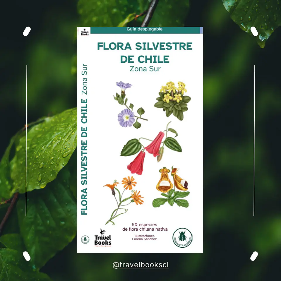Travel Books - Flora silvestre de Chile zona Sur  1