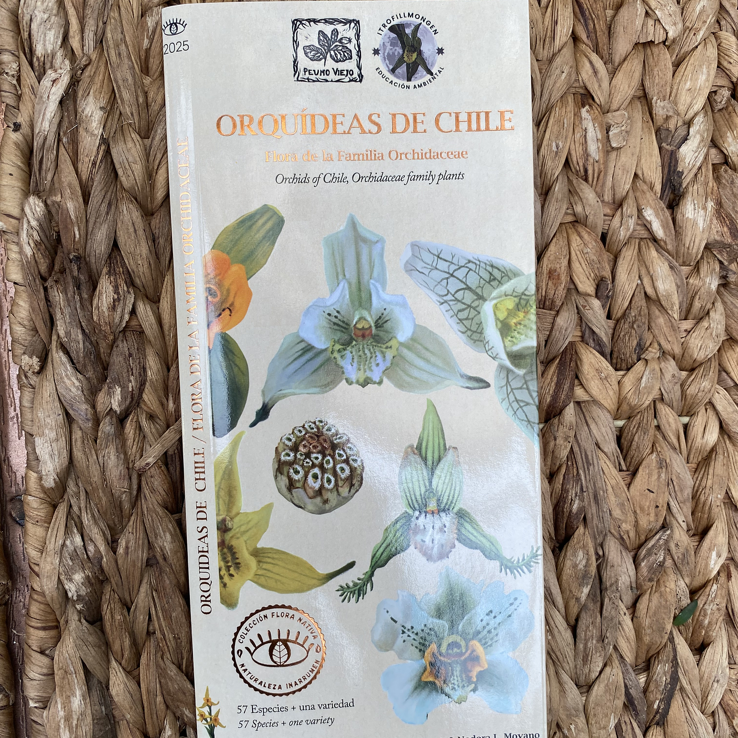 Travel Books - Orquideas de Chile  1