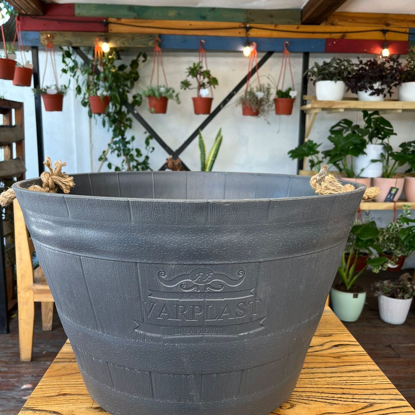 Plantas RV - Macetero Barril  1