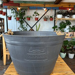 Plantas RV - Macetero Barril 