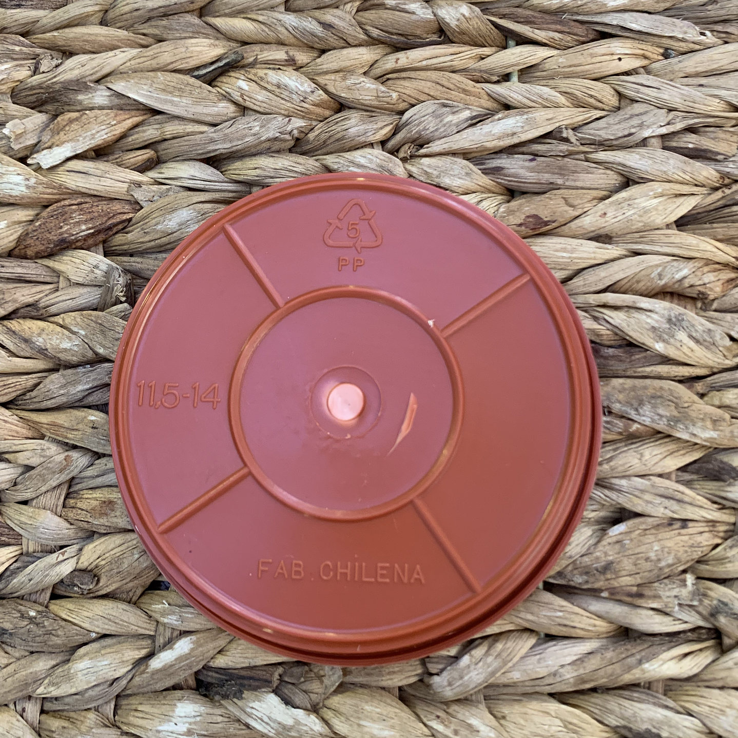 Plantas RV - Plato Terracota tamaño S  1