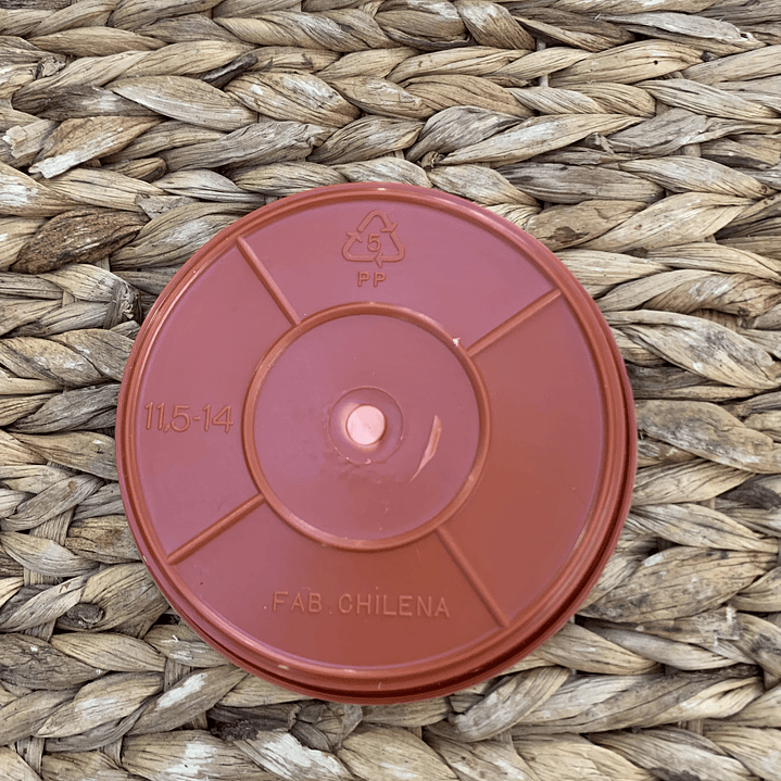 Plantas RV - Plato Terracota tamaño S  1