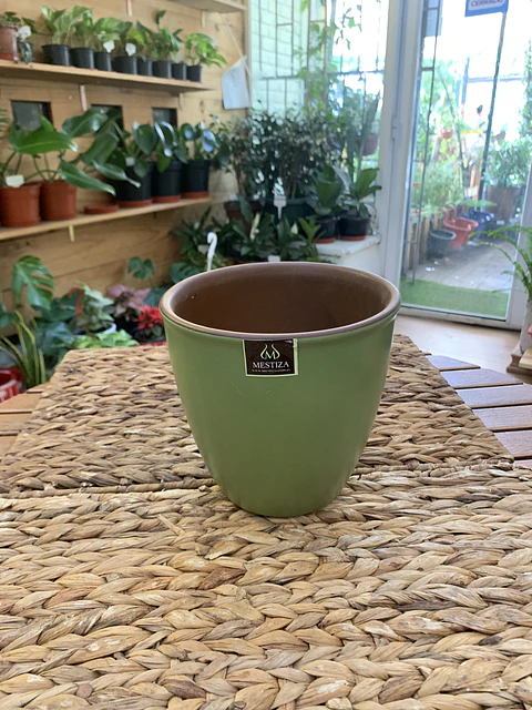 Plantas RV - Maceta Zafiro 17cm 