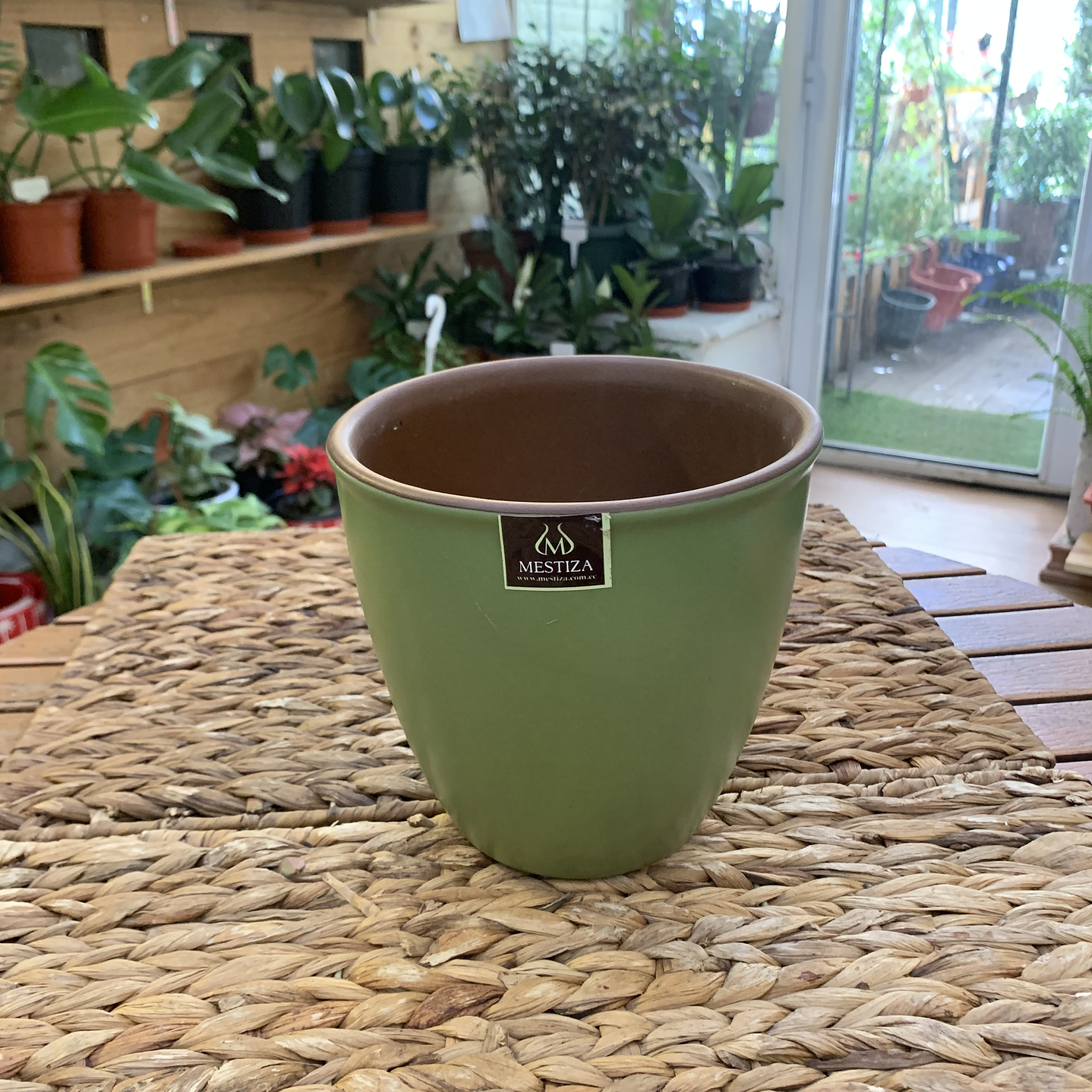 Plantas RV - Maceta Zafiro 17cm  1