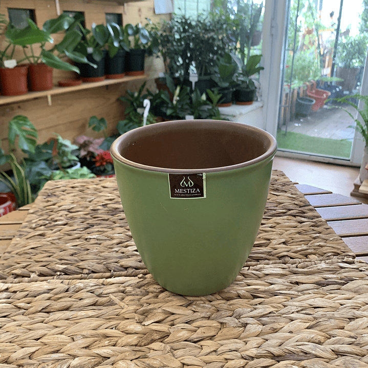 Plantas RV - Maceta Zafiro 17cm  1