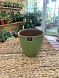 Plantas RV - Maceta Zafiro 17cm  - Miniatura 1