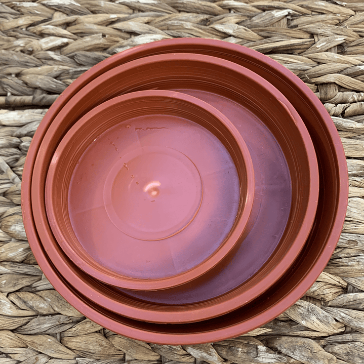 Plantas RV - Plato Terracota tamaño G  2