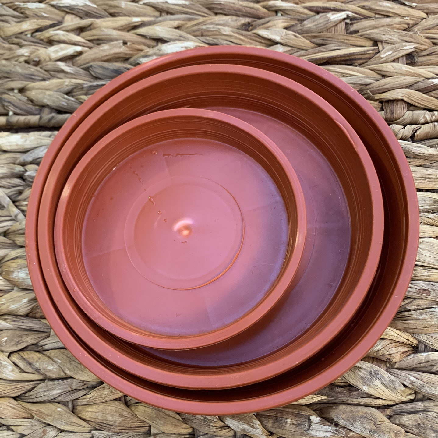 Plantas RV - Plato Terracota tamaño M  2