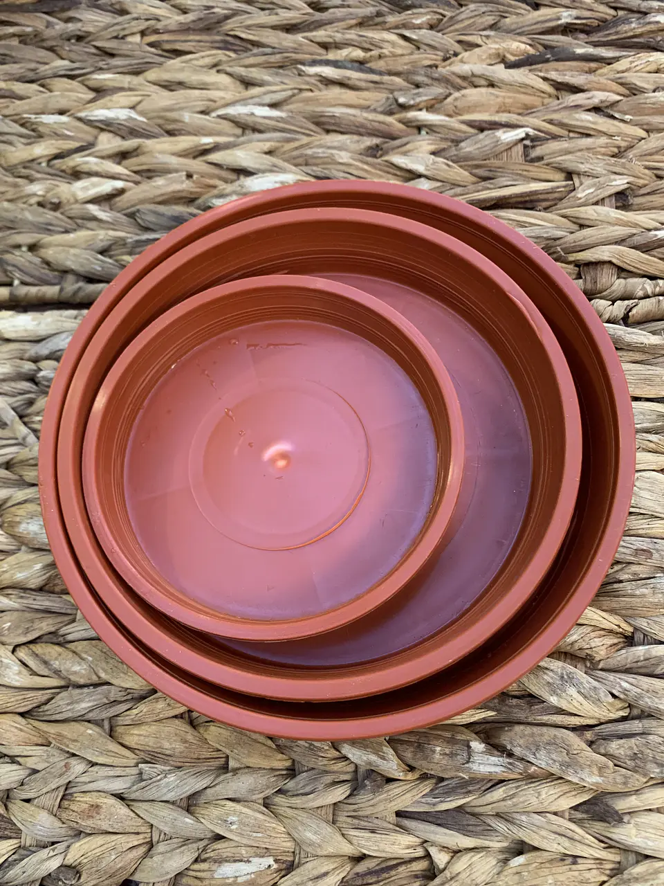 Plantas RV - Plato Terracota tamaño M  2
