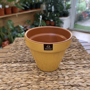 Plantas RV - Maceta Kony 19cm 