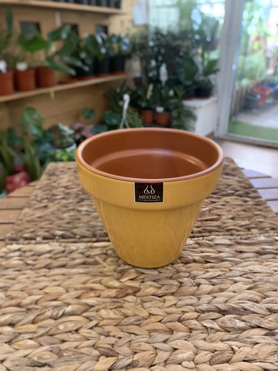 Plantas RV - Maceta Kony 19cm  1