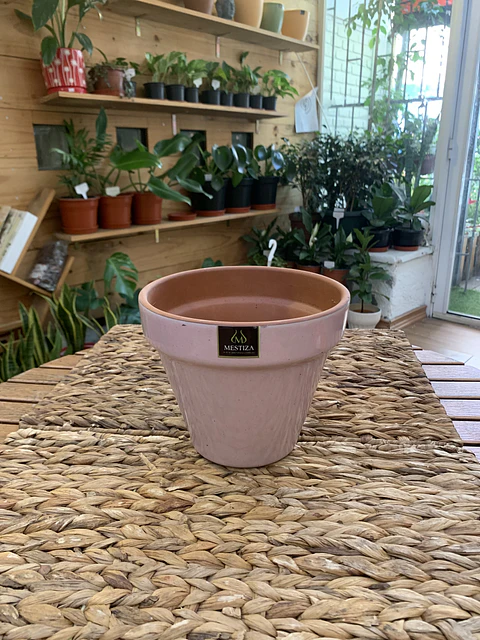Plantas RV - Maceta Kony 19cm 