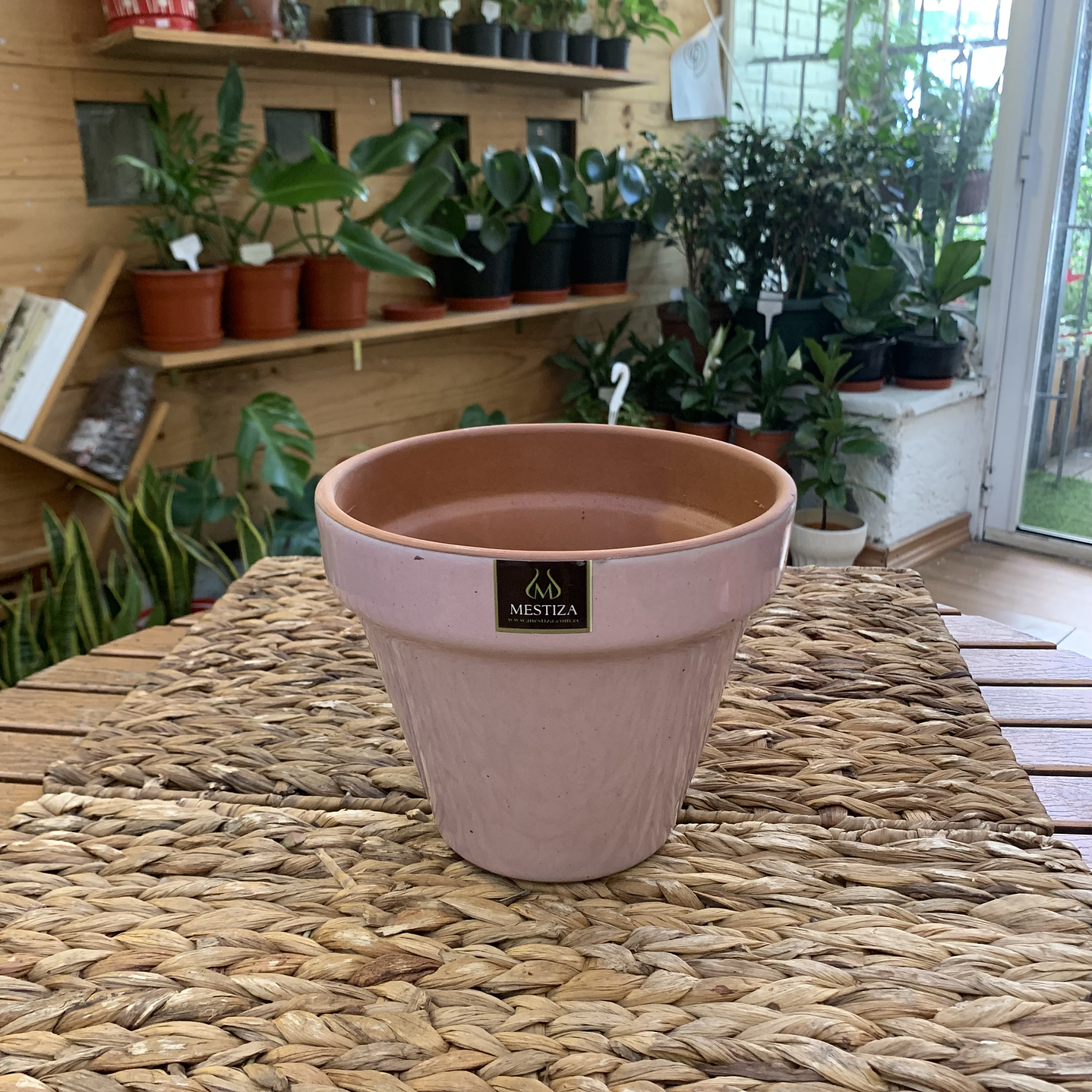 Plantas RV - Maceta Kony 19cm  2