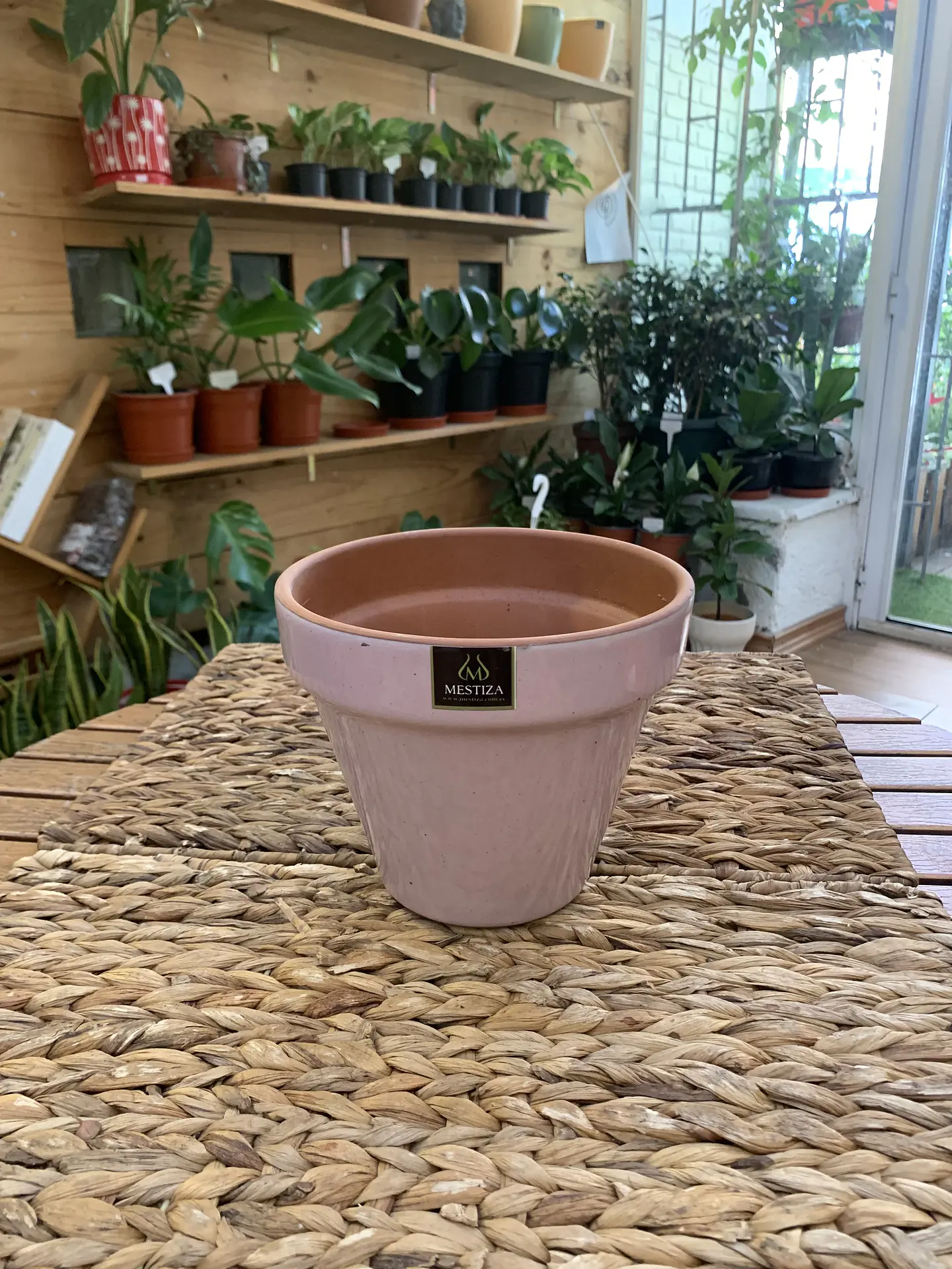 Plantas RV - Maceta Kony 19cm  2