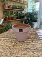 Plantas RV - Maceta Kony 19cm  - Miniatura 2