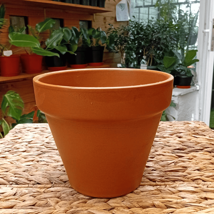 Plantas RV - Maceta Kony 19cm  3