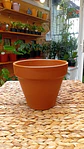 Plantas RV - Maceta Kony 19cm  - Miniatura 3