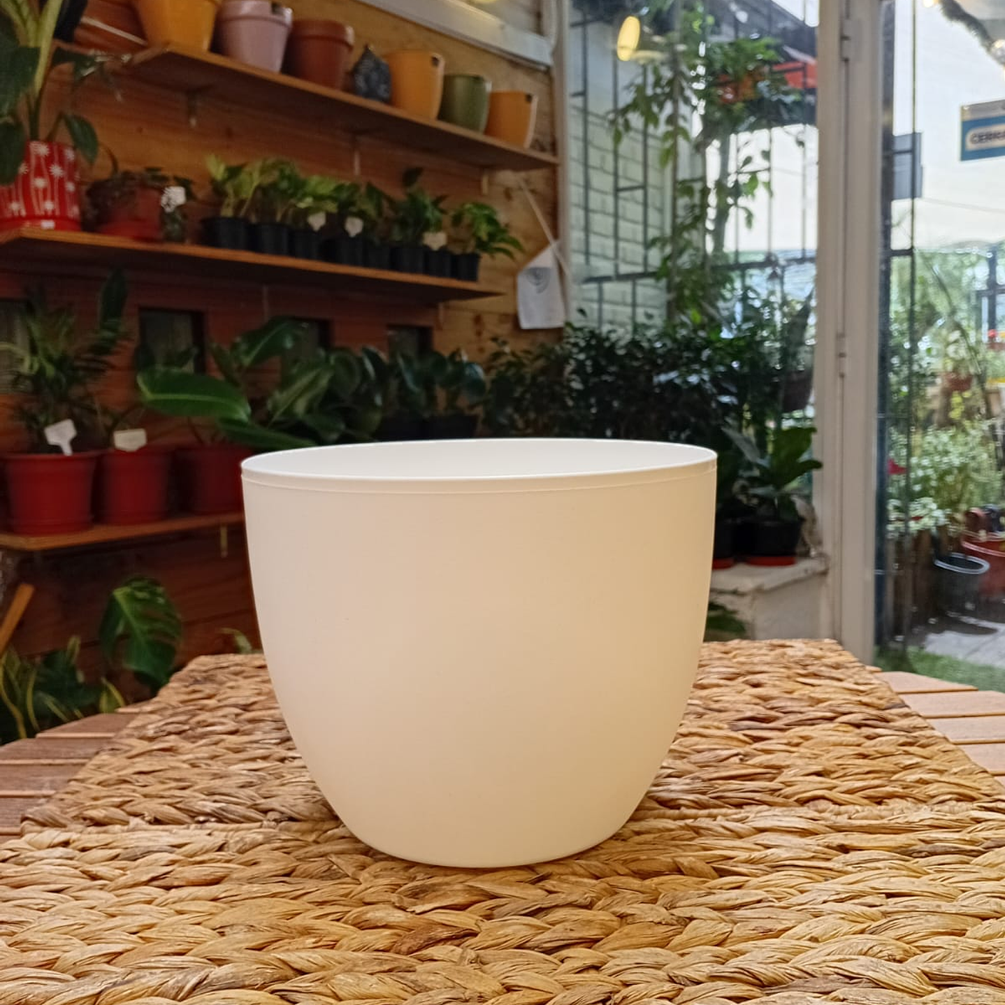 Plantas RV - Macetero Redondo Blanco 20cm  1