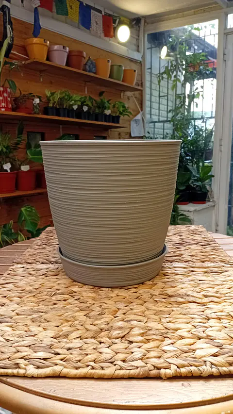 Plantas RV - Macetero Estilo Piedra con plato 
