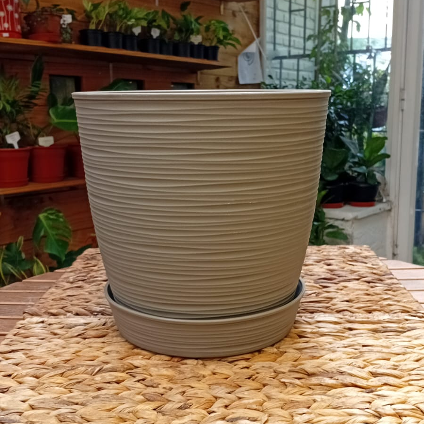 Plantas RV - Macetero Estilo Piedra con plato  1