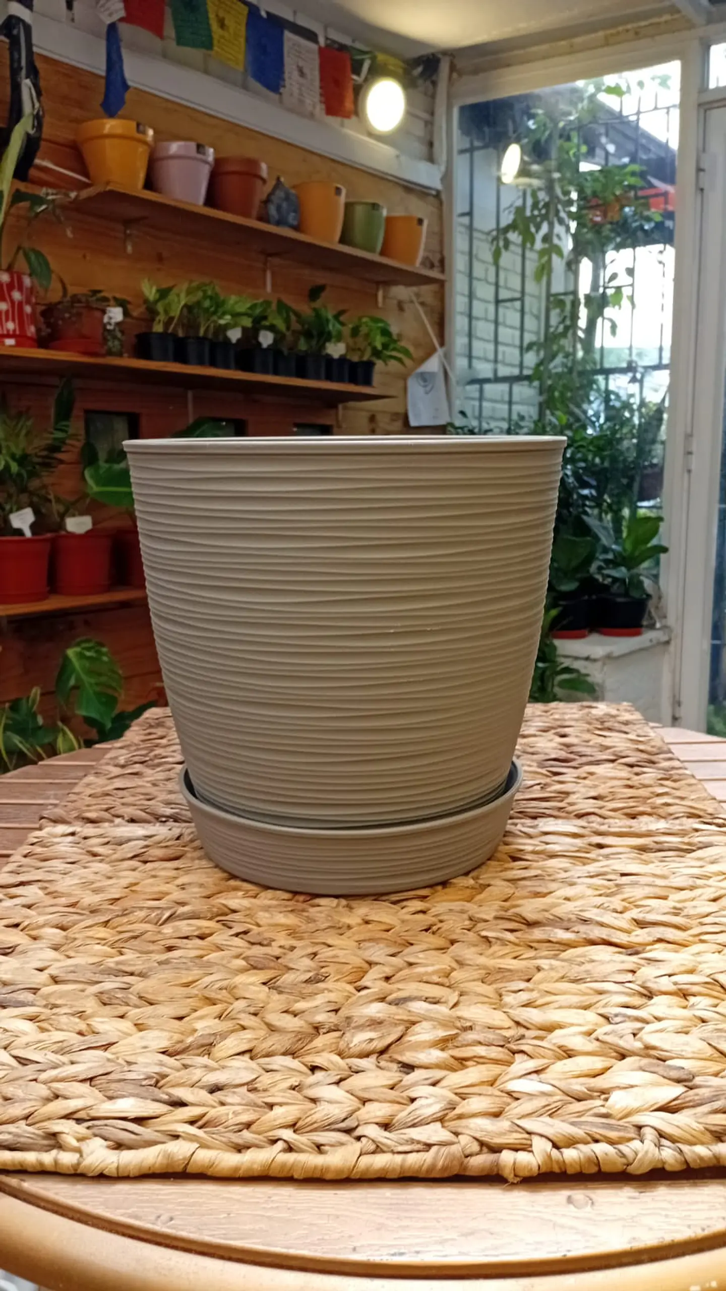 Plantas RV - Macetero Estilo Piedra con plato  1