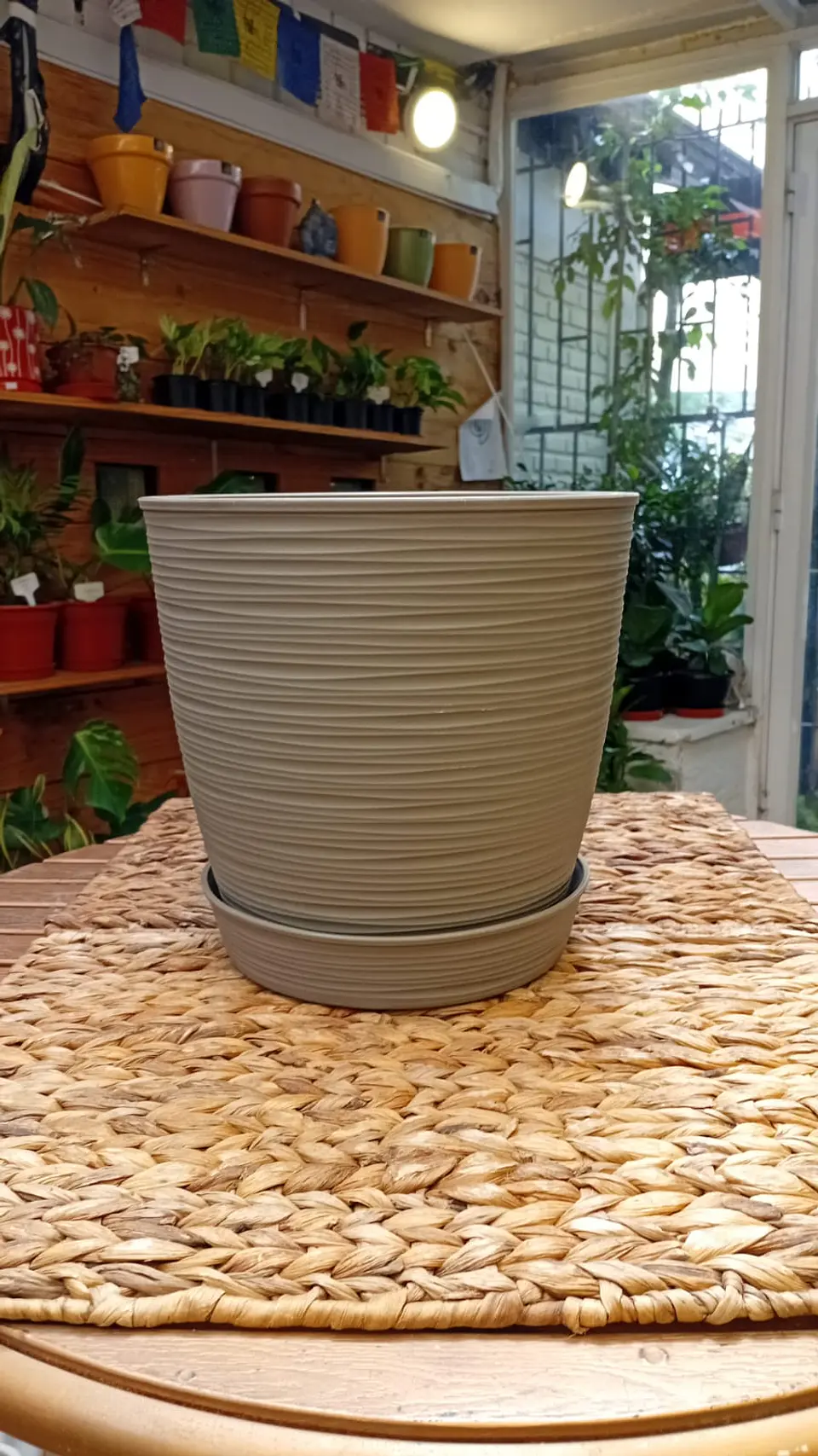 Plantas RV - Macetero Estilo Piedra con plato  1