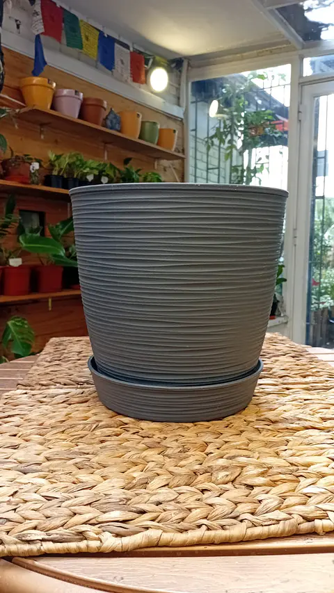 Plantas RV - Macetero Estilo Piedra con plato 