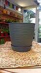 Plantas RV - Macetero Estilo Piedra con plato  - Miniatura 2