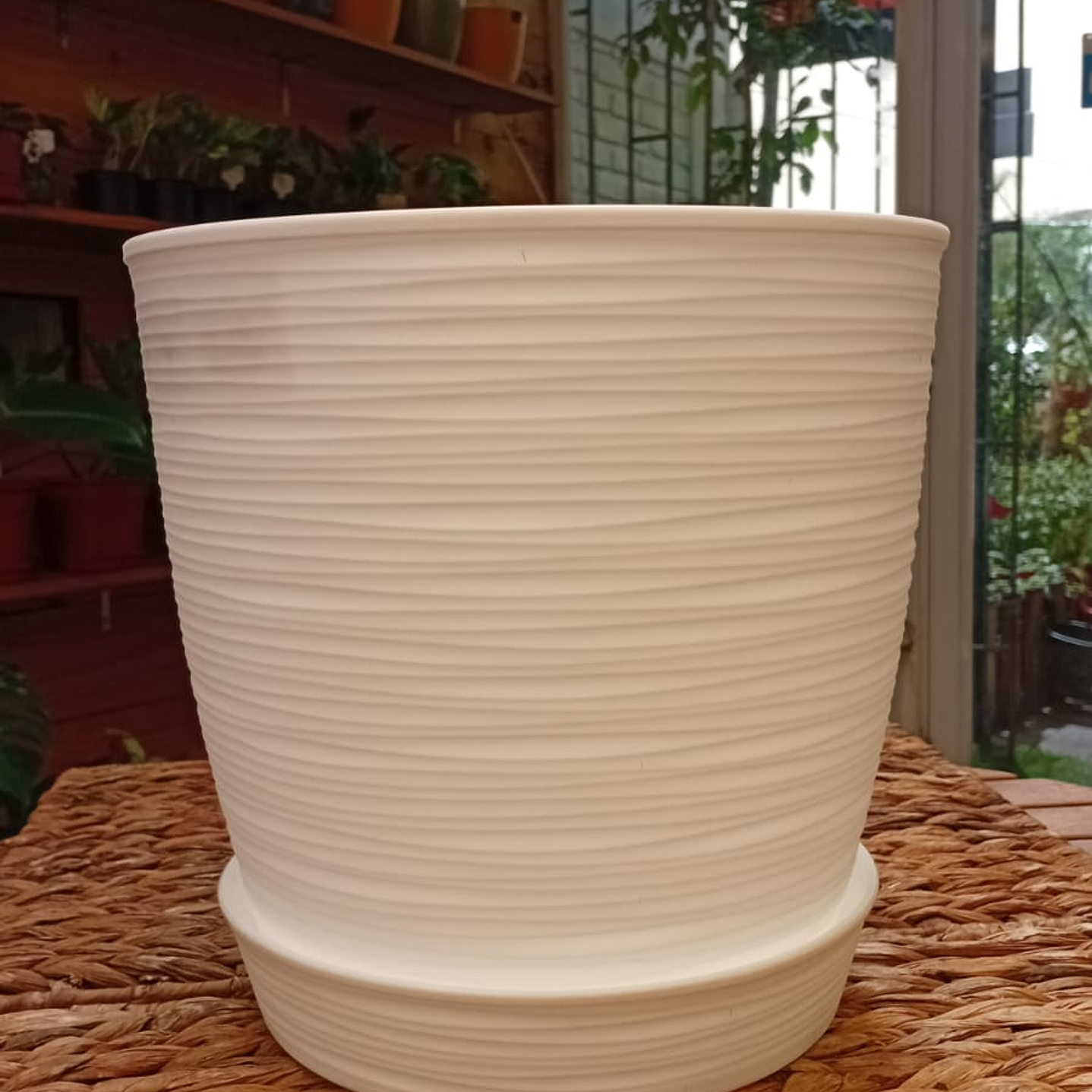 Plantas RV - Macetero Estilo Piedra con plato  3