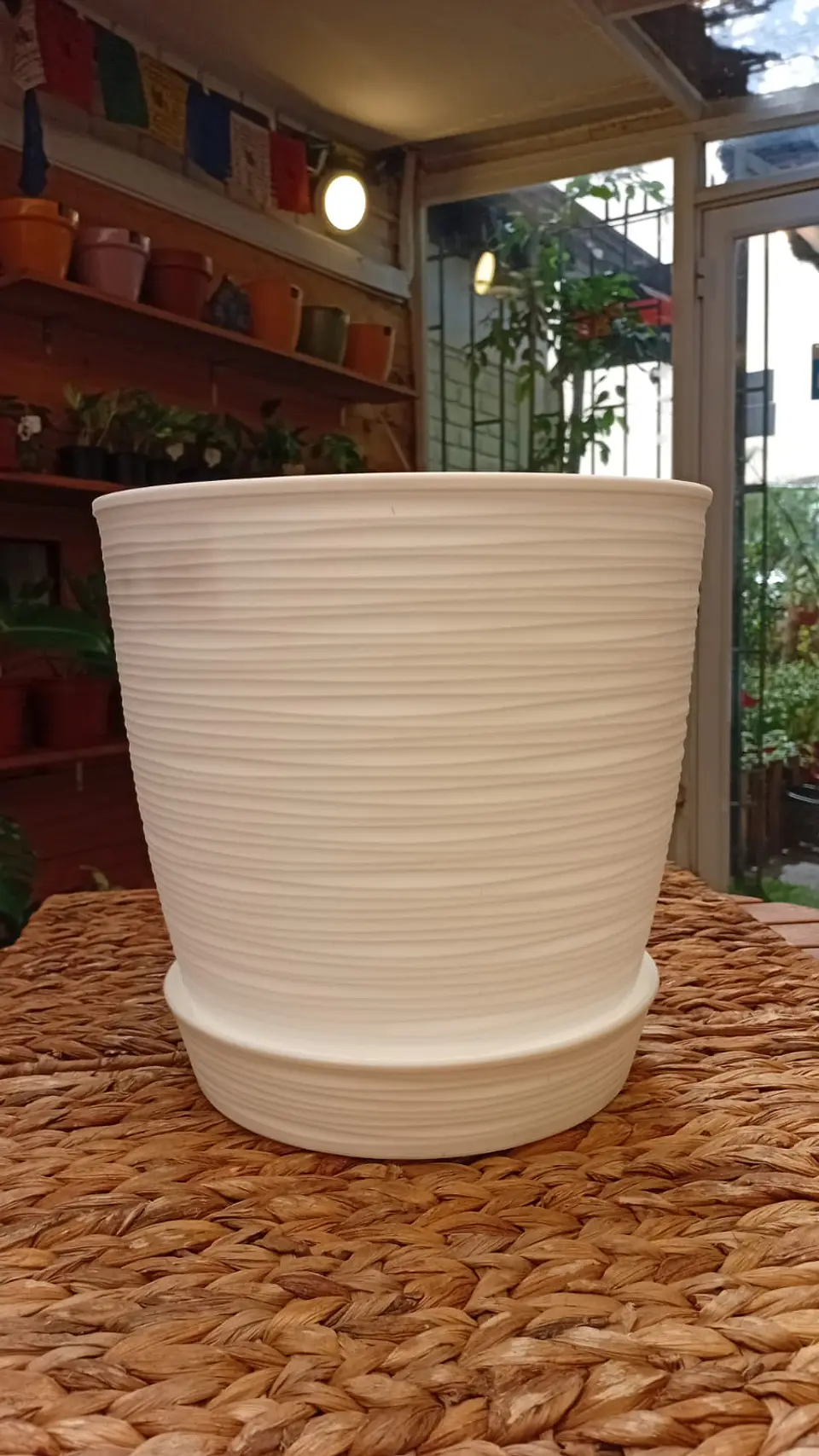 Plantas RV - Macetero Estilo Piedra con plato  3
