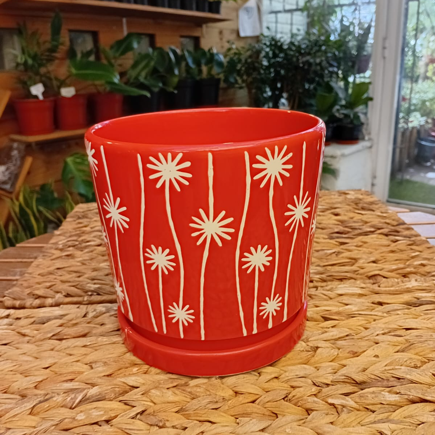 Plantas RV - Macetero Ceramica M  1