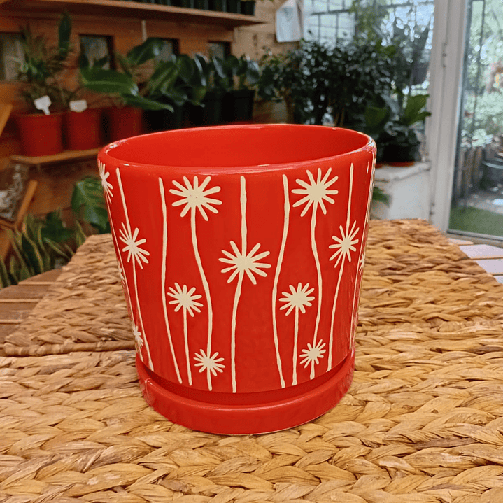 Plantas RV - Macetero Ceramica M  1