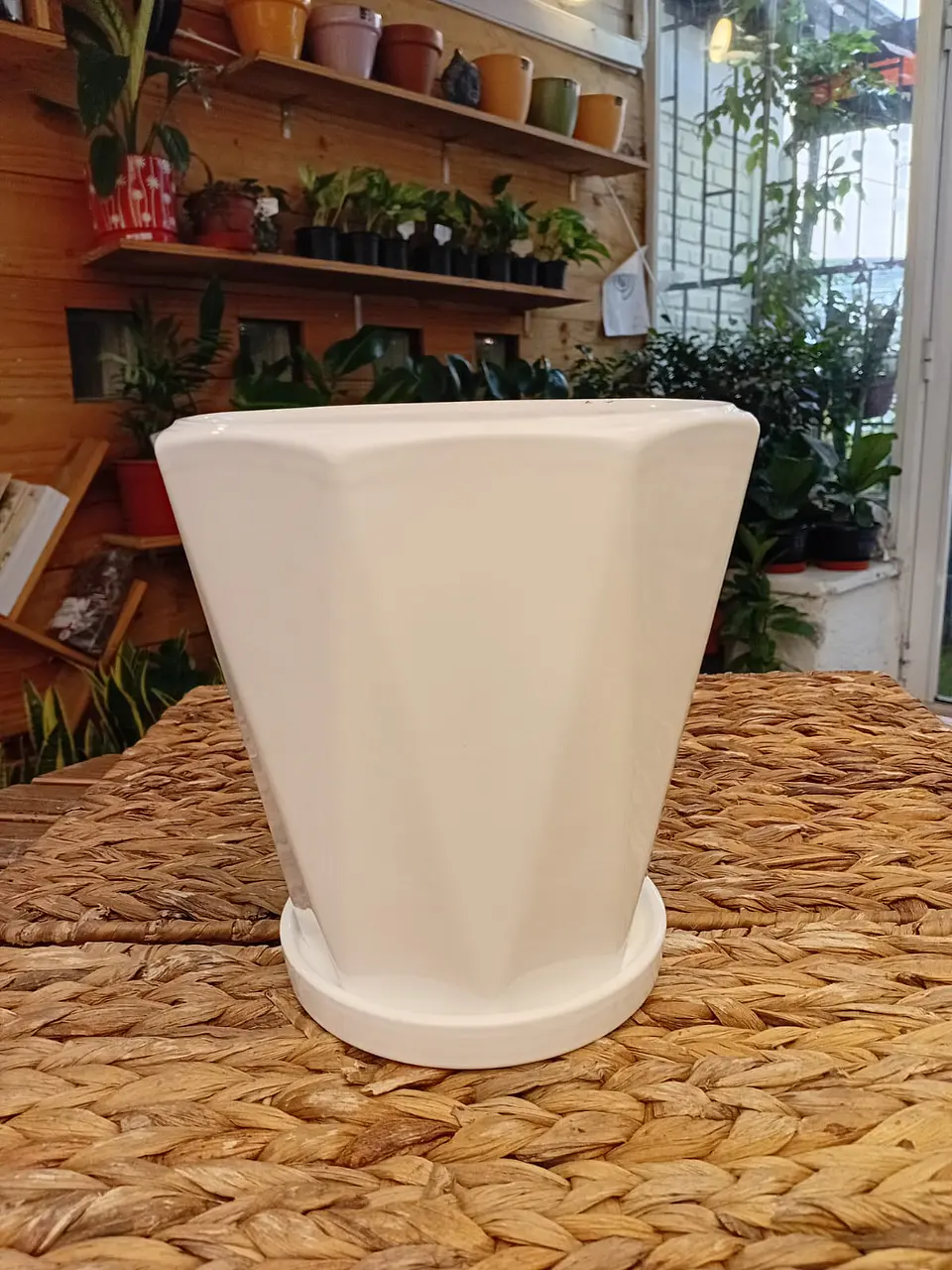 Plantas RV - Porta Maceta Cerámica M  3