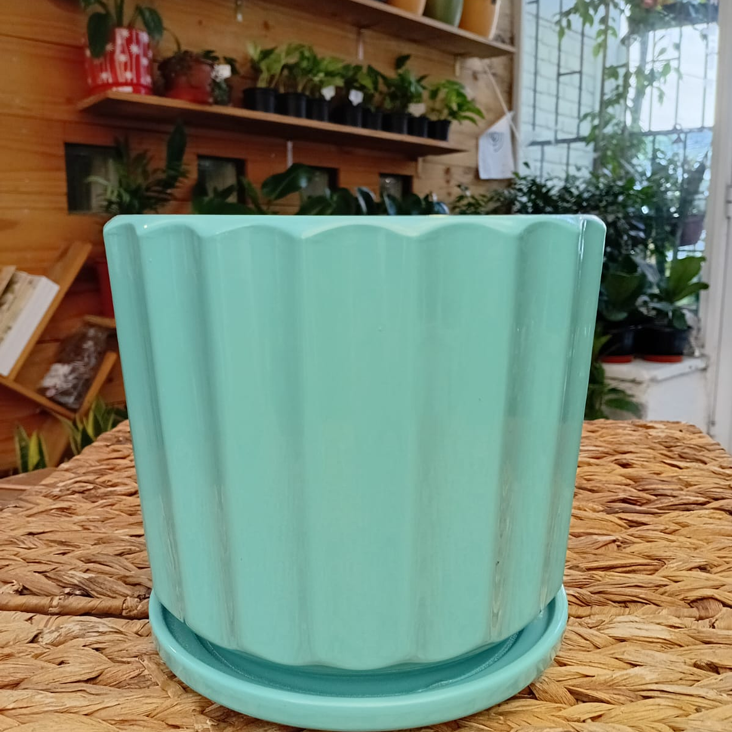 Plantas RV - Macetero Ceramica M  3