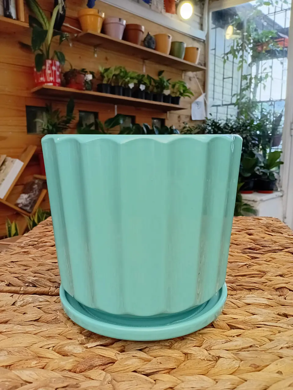 Plantas RV - Porta Maceta Cerámica M  4