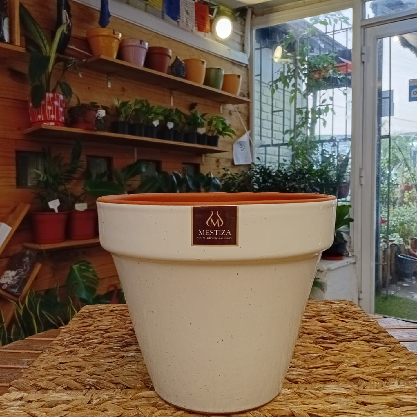 Plantas RV - Maceta Kony 24cm  1