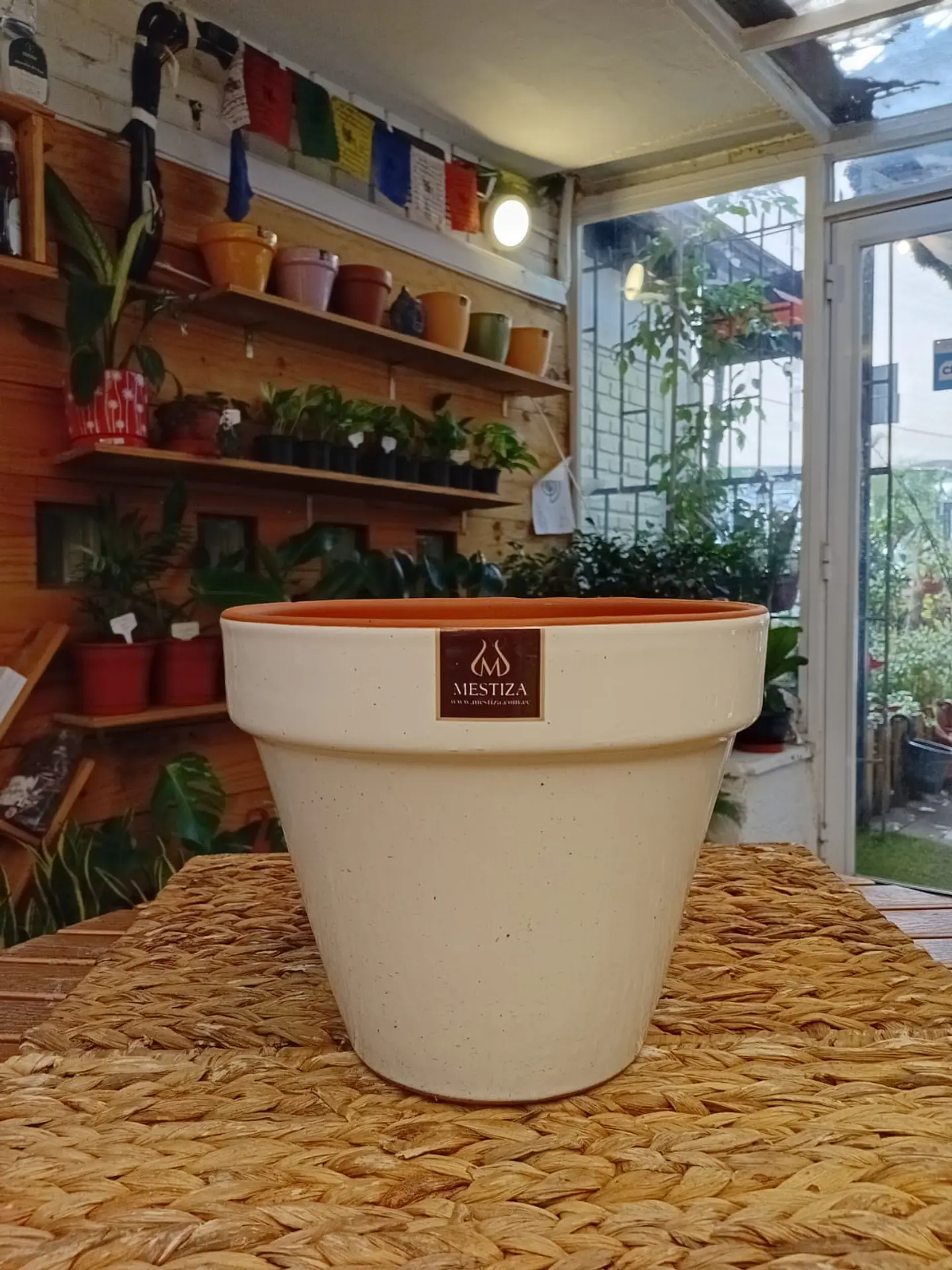 Plantas RV - Maceta Kony 24cm  1