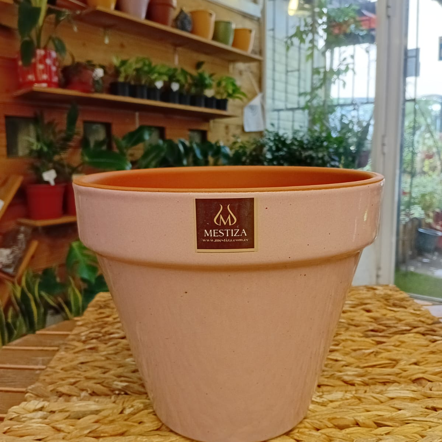 Plantas RV - Maceta Kony 24cm  2