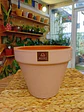 Plantas RV - Maceta Kony 24cm  - thumbnail 2