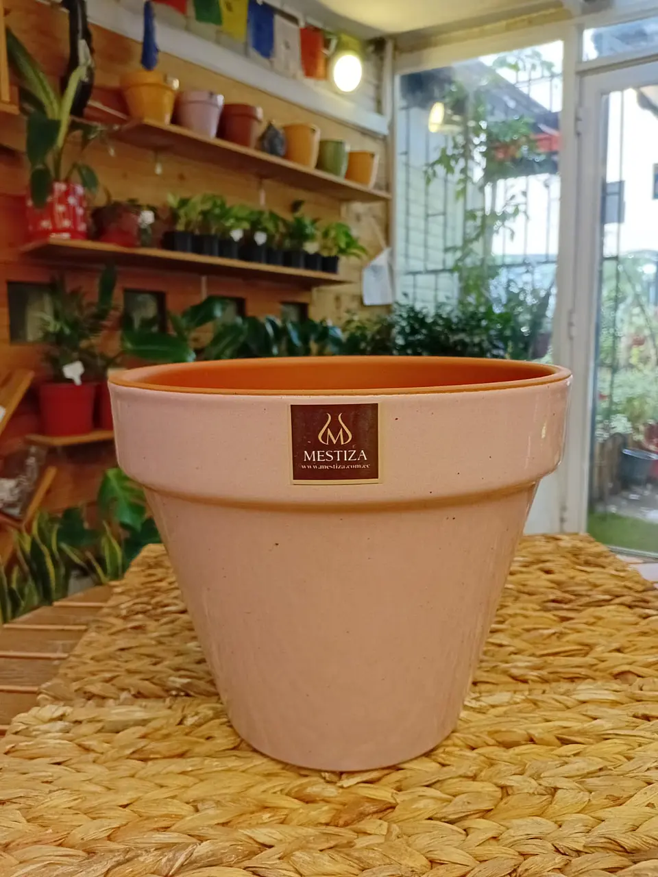 Plantas RV - Maceta Kony 24cm  2