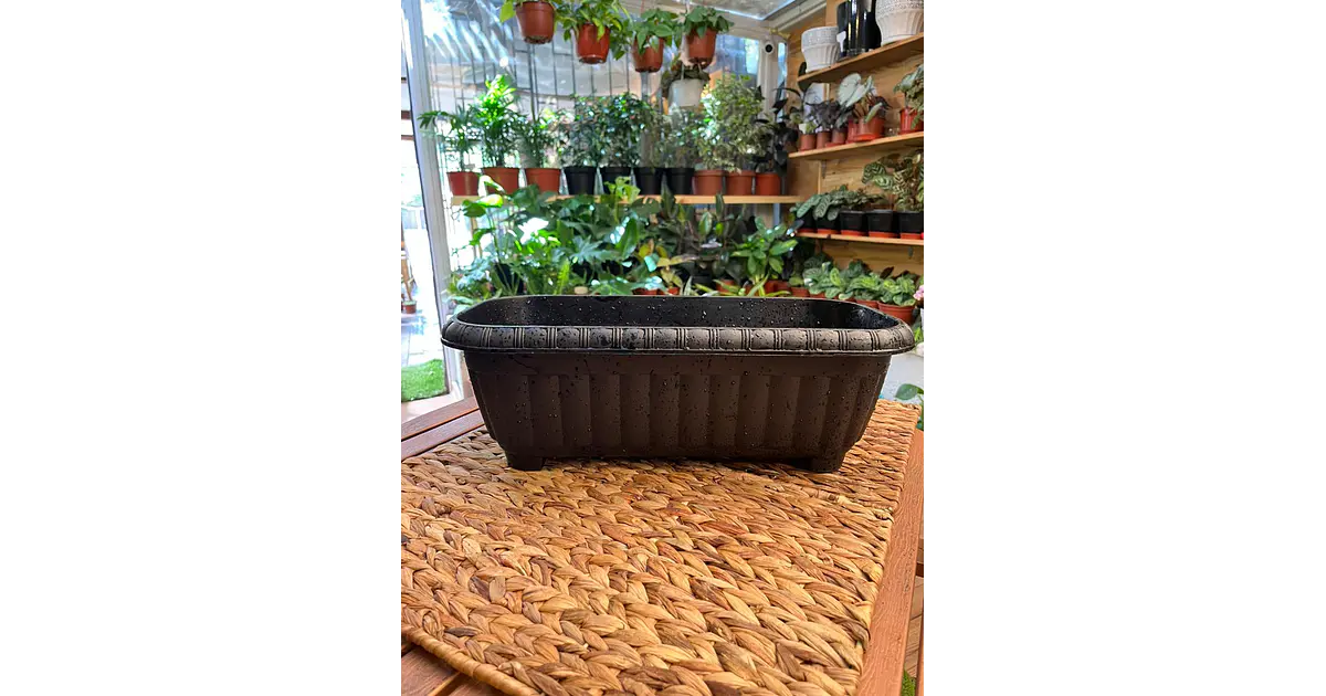 Plantas RV - Jardinera Ovalada