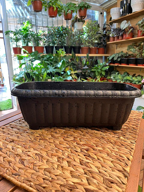 Plantas RV - Jardinera Ovalada 