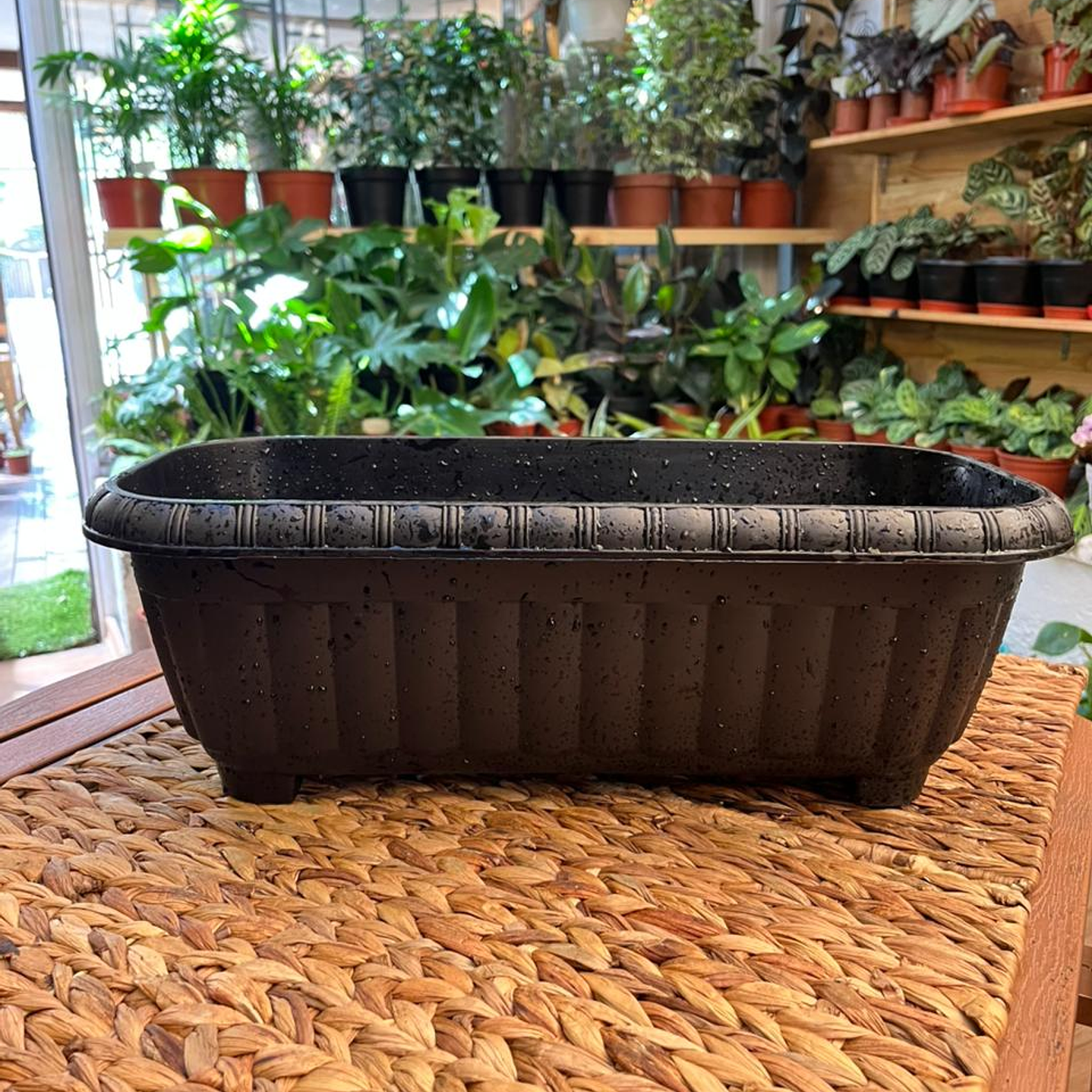 Plantas RV - Jardinera Ovalada  1