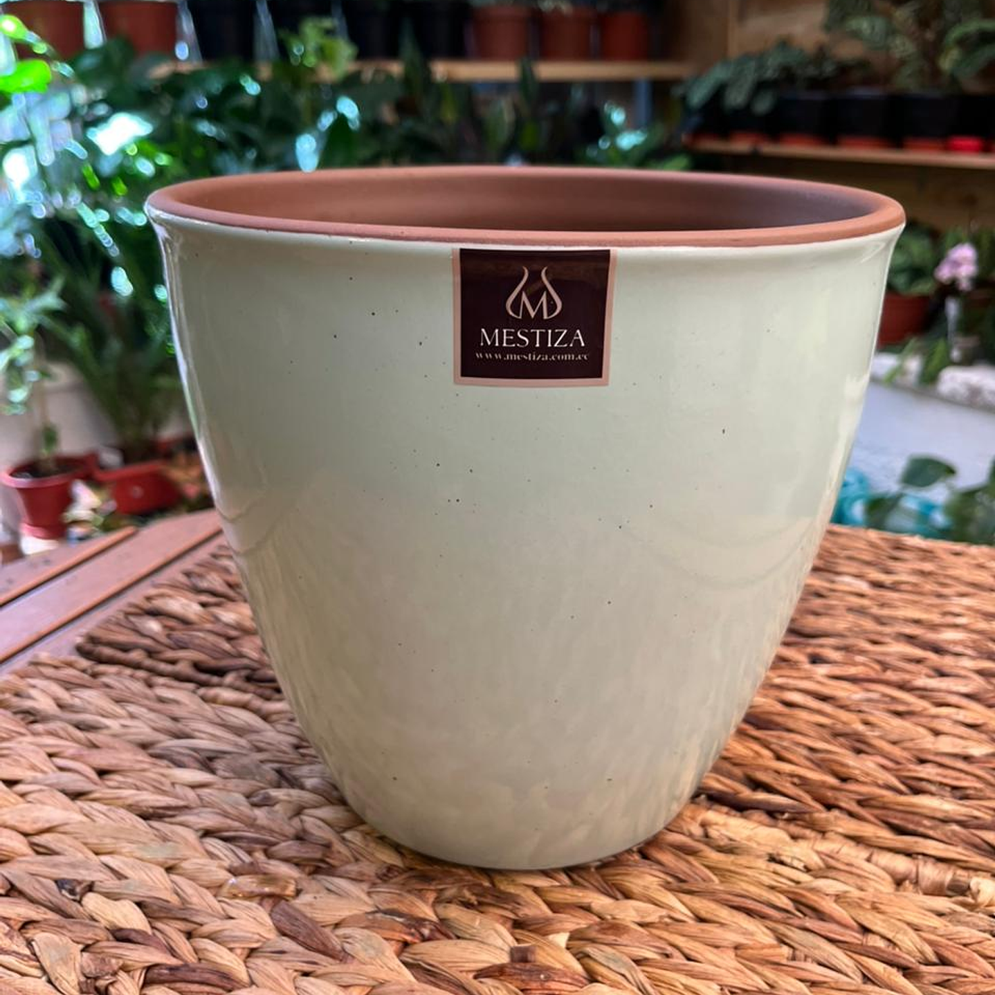 Plantas RV - Maceta Zafiro 24cm  1