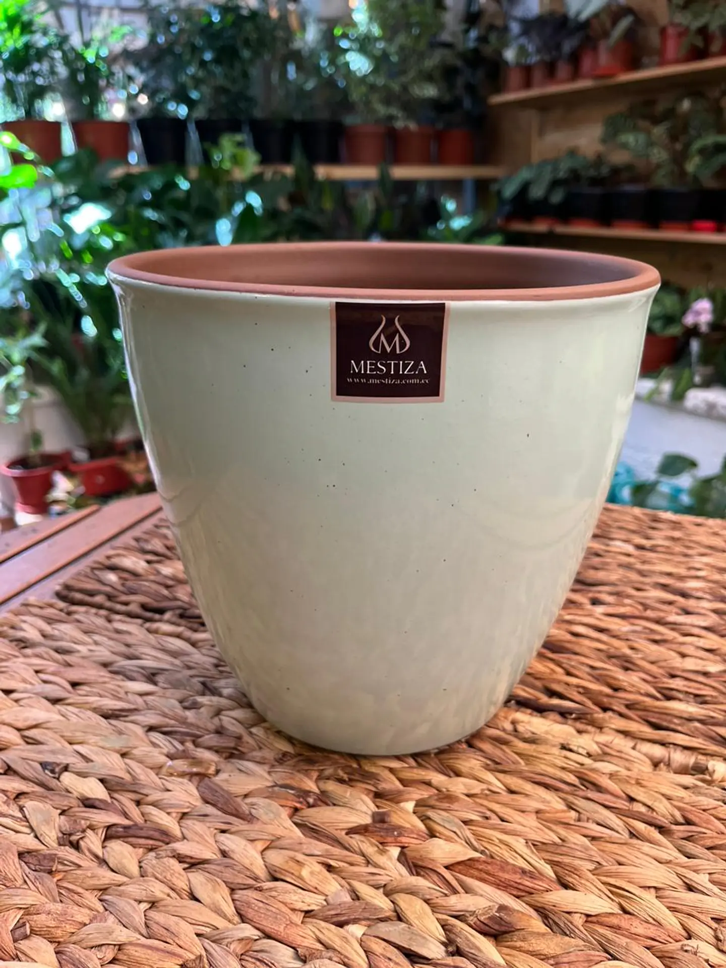 Plantas RV - Maceta Zafiro 24cm  1
