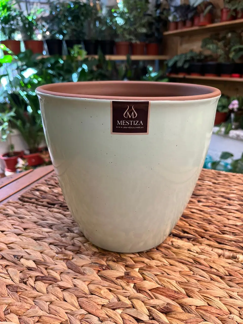 Plantas RV - Maceta Zafiro 24cm  1