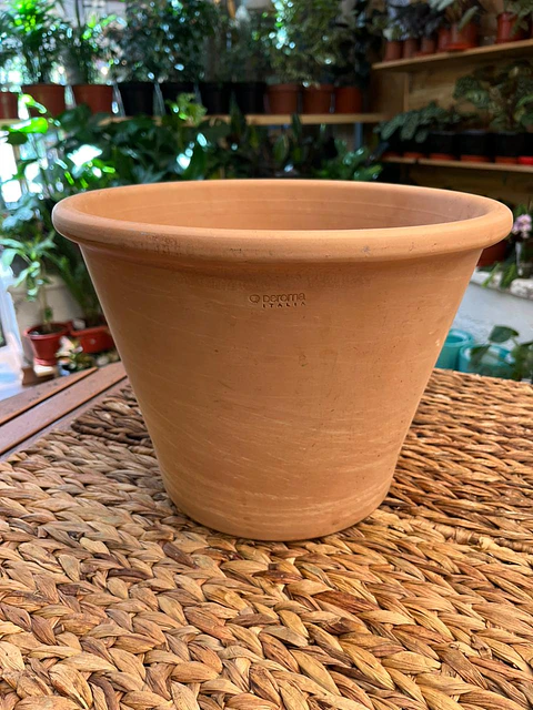 Plantas RV - Maceta Vasum 31cm 