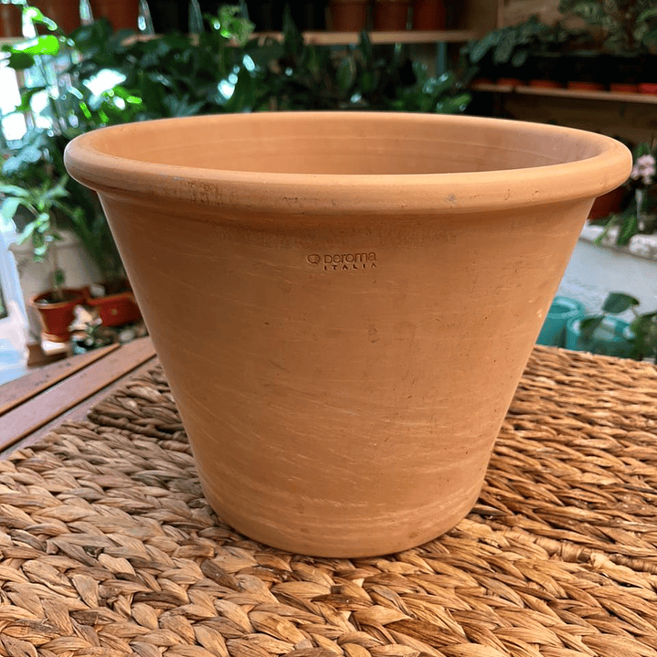 Plantas RV - Maceta Vasum 31cm  1